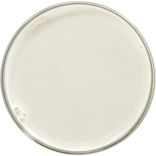 Water Soluble CBD 10% is our nanoemulsified CBD originating from our cGMP high-quality CBD Isolate for the purest, safest and highest quality CBD Water Soluble products. The image shows a petri dish full of CBD Water Soluble 10%, a fluid, white, milky, opaque color water-compatible CBD that is transparent when it dissolves in water upon contact.