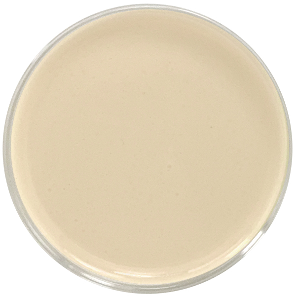 Water Soluble CBD 20% by Red Mesa Science & Refining, featuring nanoemulsion technology for improved stability, faster absorption, and versatile use in beverages, skincare, cosmetics, gummies, tinctures and supplements.