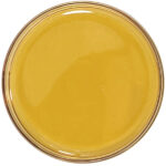 CBG Distillate is a THC-Free Broad Spectrum that is a translucent light amber colored oil ready for formulating into tinctures, gummies, cosmetics, skincare and gelcaps.