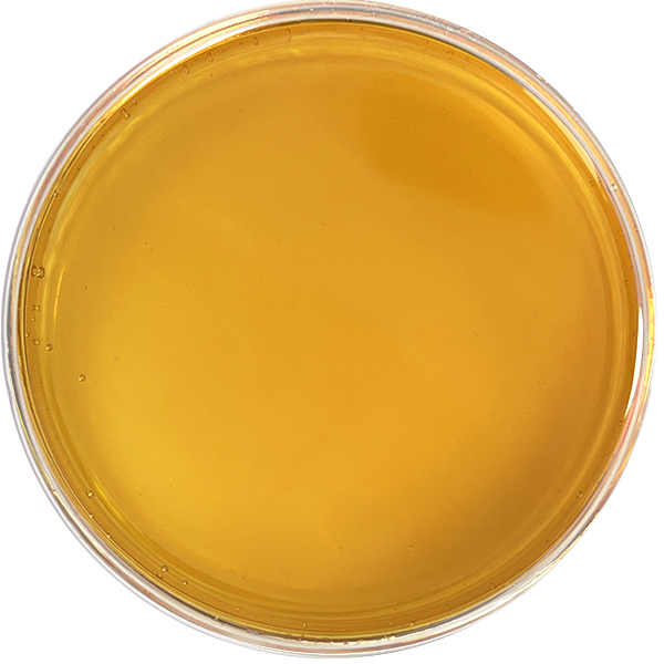 CBN Distillate oil is high potency CBN with a rich amber color. Bulk CBN Distillate is ideal on its own or can be combined with other cannabinoids, terpenes or flavonoids for a customized synergistic blend. CBN Distillate is ideal for tinctures, topicals, gummies and other edibles.CBN Distillate is sold at wholesale online or can be purchased through our sales team for large CBN bulk orders.