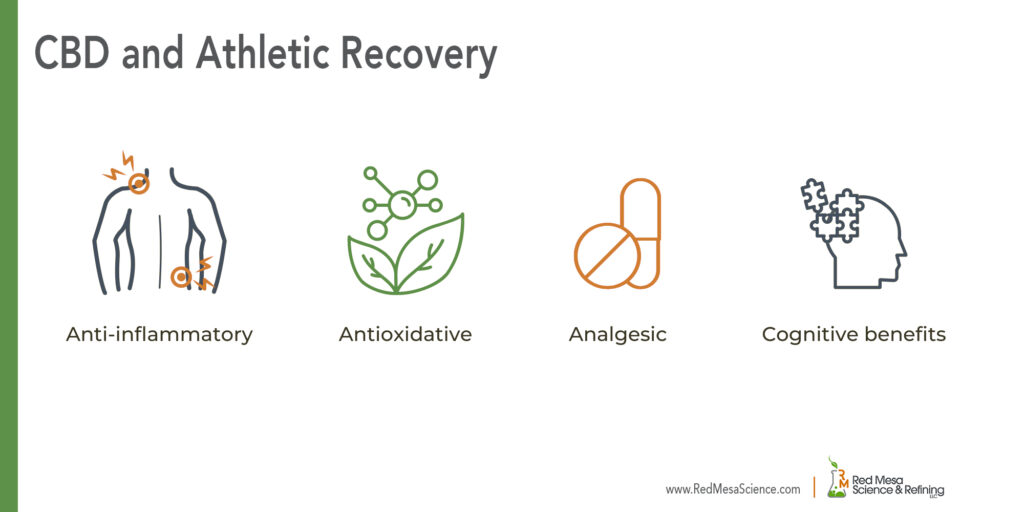 CBD has been studied for its affect on athletic recovery and has been associated with its anti-inflammatory, antioxidative, analgesic and cognitive benefit properties. Red Mesa Science & Refining manufactures CBD Isolate, CBD Distillate, CBD Crystal Resistant Distillate raw materials to supply to product formulators seeking to target athletic recovery in the form of tinctures, gummies, topicals and other CBD applications