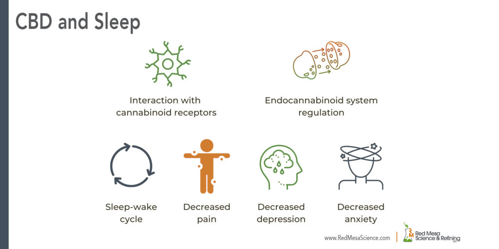 Infographics demonstrates how CBD can reduce the symptoms of sleep disorders, anxiety, depression and pain by activating cannabinoid receptors in the endocannabinoid system. Exocannabinoids can be made from CBD porudcts integrating CBD Isolate and CBD Distillate in product formulations.