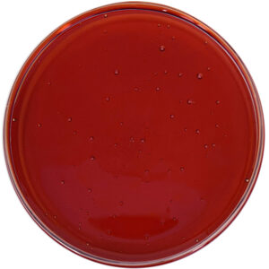 Our natural, non- synthetic CBN raw material provides opportunity to innovate. In nature, CBN is a rare cannabinoid that results from the degradation of THC. Red Mesa Science & Refining has developed a step-change botanical refinement method to refine and purify CBN at scale for large formulation needs without chemical conversions. CBN Distillate is 55% or more pure CBN, with an additional 10% minor cannabinoids, resulting in a synergistic blend that contributes to the Entourage Theory.