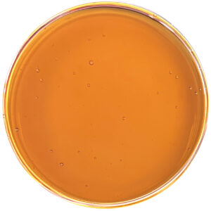 Broad Spectrum Distillate CBD- High Minors is predominantly CBD with a high concentration of additional minors of 10% or more. When heated, the broad spectrum distillate's light amber translucent oil can be blended into tinctures, gummies, topicals, soft gels and other CBD products seeking to capitalize upon the entourage effect.