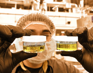 Red Mesa prioritizes operational excellence by building sourcing partnerships to control expenses, ensuring cost-effective CBD, CBG and CBN raw materials. Image show Red Mesa's employee holding 2 jsamples of high quality CBG Distiilate used to test CBG potency.