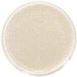 Water Soluble CBN by Red Mesa Science & Refining, offering nanoemulsion technology for significantly increased bioavailability, stability, and versatile applications in health and wellness, beverage and cosmetic formulations.