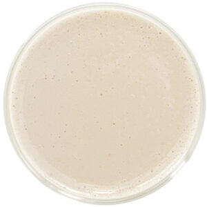 Water Soluble CBN 20% by Red Mesa Science & Refining, offering nanoemulsion technology for significantly increased bioavailability, stability, and versatile applications in health and wellness, beverage and cosmetic formulations.