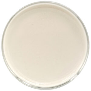 Water Soluble CBG 10% by Red Mesa Science & Refining, featuring nanoemulsion technology for improved stability, faster absorption, and versatile use in beverages, skincare, and supplements.