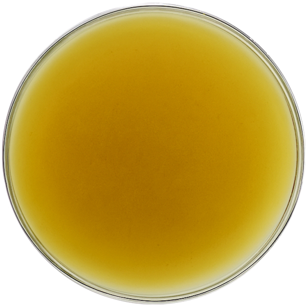Bioidentical manufacturing of THCV Isolate ensures exact molecular replication with consistent high potency, quality and stability. To incorporate into THCV products, most formulators melt THCV to blend in evenly as pictured.
