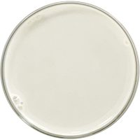 Water Soluble CBD 10% is our nanoemulsified CBD originating from our cGMP high-quality CBD Isolate for the purest, safest and highest quality CBD Water Soluble products. The image shows a petri dish full of CBD Water Soluble 10%, a fluid, white, milky, opaque color water-compatible CBD that is transparent when it dissolves in water upon contact.